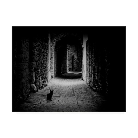 Omer Ates Kzltug 'Black Cat Path' Canvas Art,14x19